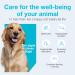 Vetoquinol Zylkene Veterinary Health Product - Calm and Relaxed Behaviour in Pets During Stressful Events - 75 mg - Cats and Small Dogs - 30 Caps Cats and Small Dogs 30 Caps - Buy Online on GoSupps.com