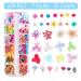 108PCS Dried Flowers & Foil Nail Art Kit - Natural Flower Designs for Resin Molds - Nail Art Accessories Set by YWLI - Buy Online on GoSupps.com