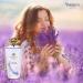 Yardley English Lavender by Yardley of London for Women Eau De Toilette Spray 4.2 Ounce 4.2 Fl Oz (Pack of 1) - Buy Online on GoSupps.com