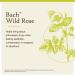Bach Wild Rose Flower Remedy 20mL Dropper - Natural Holistic Stress Relief | Vegan Formula - Buy Online on GoSupps.com