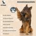 Petical Oatmeal Dog Shampoo - 100% Vegan pH-Neutral Aloe Vera & Vitamin E for All Fur Types | Anti-Itching & Odor Care - Buy Online on GoSupps.com