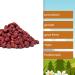 Burnt Peanuts with Red Sugar Coating - Crispy Party Snack - 1kg/3kg Buckets - Perfect for Jahrmarkt & Christmas Market Flair - Nut Fox - Buy Online on GoSupps.com