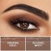 FOCALLURE 2 Pcs Shimmer Cream Eyeshadow Stick Set - Rich Rum | Long Lasting, Waterproof Eye Makeup | Highlighter Pencil Crayon Duo - Buy Online on GoSupps.com