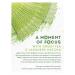 Lipton Magnificent Matcha Tea Bags - 15 Count, 4 Pack Green Tea with Real Japanese Matcha - Buy Online on GoSupps.com