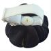 CUSHYSTORE Velvet Wrist Pin Needle Cushion - Adjustable Elastic Strap - Black - Buy Online on GoSupps.com