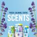 Febreze Plug Starter Kit - Long-lasting Odor Elimination for a Fresh Home - Buy Online on GoSupps.com