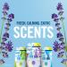 Febreze Noticeable Heavy Duty Crisp Clean Dual Oil Refills Air Freshener - 2 ct | International Shipping Available - Buy Online on GoSupps.com