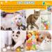 NHYDZSZ Cat Toys - 100 Soft Noiseless Interactive Balls for Cats & Kittens | Ideal Indoor Play - Buy Online on GoSupps.com