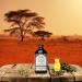Organic Shea Terra 100% Pure Egyptian Black Castor Oil with Ethiopian Coffee Ginseng - 8 oz | All-Natural Hair Strengthening and Conditioning Oil for Healthy Growth - Buy Online on GoSupps.com