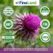 FineLand Milk Thistle Pills 50:1 Extract 120 Vegan Capsules - 20 000 mg Strenght with 80% Silymarin Flavonoids Liver & Antioxidant Support | 50X Concentrated Seed Extract - Non-GMO Made in USA - Buy Online on GoSupps.com