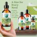 Green Coffee Bean Oil 473 ml Rich in Antioxidants Natural Moisturizer Versatile Use Bella Terra Oils  - Buy Online on GoSupps.com