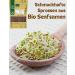 Buy Organic Mustard Seeds 1kg | Premium Quality Mustard Grains for Indian & Asian Cuisine | Brown & Black Mustard Spice - Buy Online on GoSupps.com