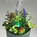 Earnest Living Essential Oil Diffuser - Ceramic Succulent Pot 100ml Night Light Timer & Auto-Off Function for Lavender Aromatherapy - Buy Online on GoSupps.com