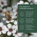 100% Pure New Zealand MGO 50+ Multifloral Manuka Honey 17.6oz - Raw Manuka Honey (500g) - Buy Online on GoSupps.com
