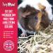 HayPigs Timothy Hay - Parent (1KG) 1 count (Pack of 1) - Buy Online on GoSupps.com