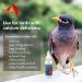 Morning Bird Calcium Plus Supplement 4 Fl Oz - Liquid Formula with Magnesium and Vitamin D3 for Avian Health - Buy Online on GoSupps.com