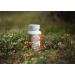 Eclectic Institute Raw Non-GMO Cranberry 90 CT (300 mg) - Urinary Tract Support - Buy Online on GoSupps.com