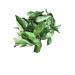 Organic Whole Air Dried Curry Leaves 0.3 oz - Premium Quality (10 g) - 0.3 Ounce Pack - Fresh and Aromatic - Buy Online on GoSupps.com