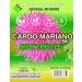 Cardo Mariano Herb Tea & Capsules | Vegan | 100% Pure & Natural Milk Thistle | Loose Tea 4oz (113g) + 60 Capsules (1000 mg Each) - Herbal Dietary Supplement | Extra Forte - Buy Online on GoSupps.com