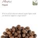 Allspice Whole Berries Organic Spice - All Spice Berry Seasoning - Also called Jamaican Pepper - 350g - Buy Online on GoSupps.com