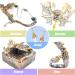 Winged Dragon Silicone Molds Pack of 2 for Epoxy Resin Casting - Large 10inch & Small 3inch - Jewelry Making, Fondant, Cake Topper, Polymer Clay Craft - Buy Online on GoSupps.com