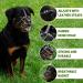 Bronzedog Rottweiler Dog Muzzle - Adjustable Durable Metal Wire Basket for Large Dogs | American Bulldog No Bark Muzzle (L) - Buy Online on GoSupps.com