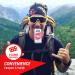 Chewpod Energy Gum: Caffeine & Taurine Mint Chews with Essential Vitamins for Energy Boost (1 Box, 80 Pieces) - Buy Online on GoSupps.com