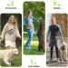 Xoolkly Dog Treat Pouch for Dog Training and Walking Dog Treat Bag with Adjustable Belt 3 Ways to Wear Dog Walking Bag with Poop Bag Holder Grey - Buy Online on GoSupps.com
