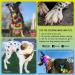 OPAWZ Permanent Pet Hair Dye - Grooming Salon Trusted Pet Safe Dye for Dogs & Horses - Adorable Pink, Lasts 20+ Washes - Buy Online on GoSupps.com