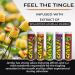 Xero Picks Sourz Flavored Toothpicks - Fresh Breath Variety Pack - 100 Picks (Pack of 5) - International Shipping Available - Buy Online on GoSupps.com