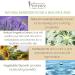 Mademoiselle Provence Lavender & Ang lique Hand Cream - Relaxing Moisturizer for Soft Hands - 1 Piece | International Shipping Available - Buy Online on GoSupps.com