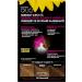Garnier Olia Hair Colour Hair Dye Contains 60% Flower Oil for Deep Colour Pack of 3 medium Blonde - Buy Online on GoSupps.com