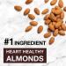 KIND Dark Chocolate Mocha Almond Bar - 5g Sugar, 5g Protein, Gluten-Free - 12 Pack (1.4 oz) - Buy Online on GoSupps.com