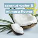 Love Beauty and Planet Silicone-Free Thickening Conditioner for Fine Hair - Coconut Water & Mimosa Flower - Reusable Aluminum Bottle 16.5 fl oz - Buy Online on GoSupps.com