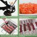 XINQIAO Jerky Gun 1.5 Pound Capacity Jerky Maker Food Grade Plastic Barrel with 4 Stainless Steel Nozzles and 2 Cleaning Brushes Plastic-1.5 Pound - Buy Online on GoSupps.com