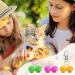 Colorful Pet Bell Set with 32 Bells and Accessories for Cats and Dogs - Buy Online on GoSupps.com