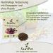 SaatPur ORGANIC Sprouts Assortment | 4 Varieties: Red Energy Mix Radish Red Cabbage Basil Beetroot - International Shipping Available - Buy Online on GoSupps.com