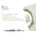 Premium Owngrown Catnip Seeds | Grow 1000 Catnip Plants - Nepeta Cataria for Pots & Gardens - Buy Online on GoSupps.com