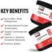 Force Factor Citrulline Malate 2:1 - Premium L Citrulline Powder for Enhanced Nitric Oxide Blood Flow & Muscle Pumps | Unflavored | 66 Servings - Buy Online on GoSupps.com
