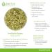 Greek Mountain Tea - Sideritis Scardica | Refreshing Aroma | Verbena & Fleabane - International Shipping Available - Buy Online on GoSupps.com