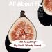 skybottle Hair & Body Mist Lasting Fragrance with Fig Fruit Scent Travel Size Perfume and Body Spray Hygiene Essentials for Women Girls Valentine Gift 3.4 Fl. Oz Muhwagua - Buy Online on GoSupps.com