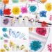 Warmfits Dried Flowers for Nails 120pcs/set - Gypsophila, Five Petals Flowers, Leaves, Hydrangea Macrophylla - Nail Art & Resin Craft DIY - Buy Online on GoSupps.com