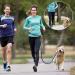 Nova Tree Hands Free Dog Leash with Adjustable Waist Strap-Dual Bungee & Handle Design - Perfect for Running Jogging Walking(Green) - Buy Online on GoSupps.com