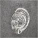 Soft Silicone Ear Model for Acupuncture & Science Study - Anatomical Silicone Ear Pair - Buy Online on GoSupps.com