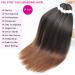BEFUNNY Pre Stretched Braiding Hair 24 Inch 8 Packs Ombre Professional Synthetic Hair Extension for Women - Yaki Texture (24 T1B/30) - Buy Online on GoSupps.com