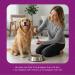 Premium Liquid Collagen for Dogs (120ml) Daily Collagen Dogs Supplement Drops with Types I II & III & Hyaluronic Acid - Dog Supplement for Joints and Digestive Health - All Breeds & Sizes - USA Made - Buy Online on GoSupps.com