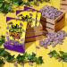 Sour Patch Kids gape Candy Sour then Sweet Gummy Candy 154 g Grape 154g - Buy Online on GoSupps.com