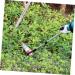 FRCOLOR Heavy Duty Trash Grabber & Pecan Picker - Foldable Litter Picker Tool 81x5.5CM - Best Garbage Picker for Easy Cleanup - Buy Online on GoSupps.com