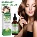 Rosemary Oil for Hair Growth - 60ml Essential Oil to Nourish Scalp & Stimulate Hair Growth - Buy Online on GoSupps.com