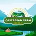 Cascadian Farm Organic Chocolate Chip Granola Bars - 12.3 oz (10 ct) | Healthy Snack - Buy Online on GoSupps.com